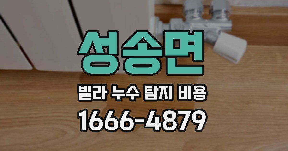 성송면 빌라 누수 탐지 비용