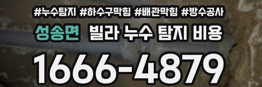 성송면 빌라 누수 탐지 비용