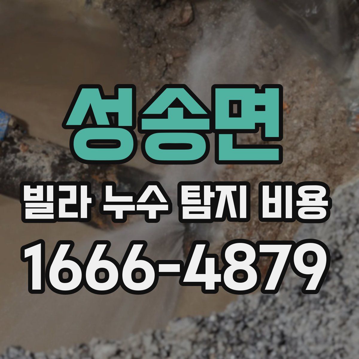 성송면 빌라 누수 탐지 비용