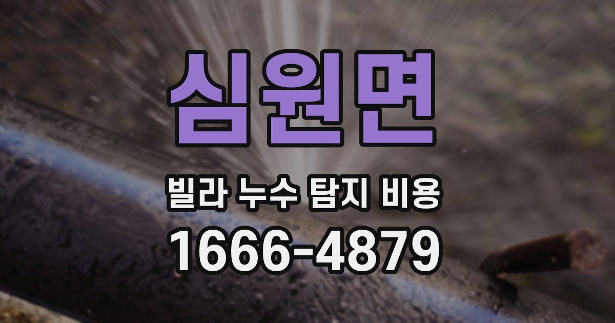 심원면 빌라 누수 탐지 비용