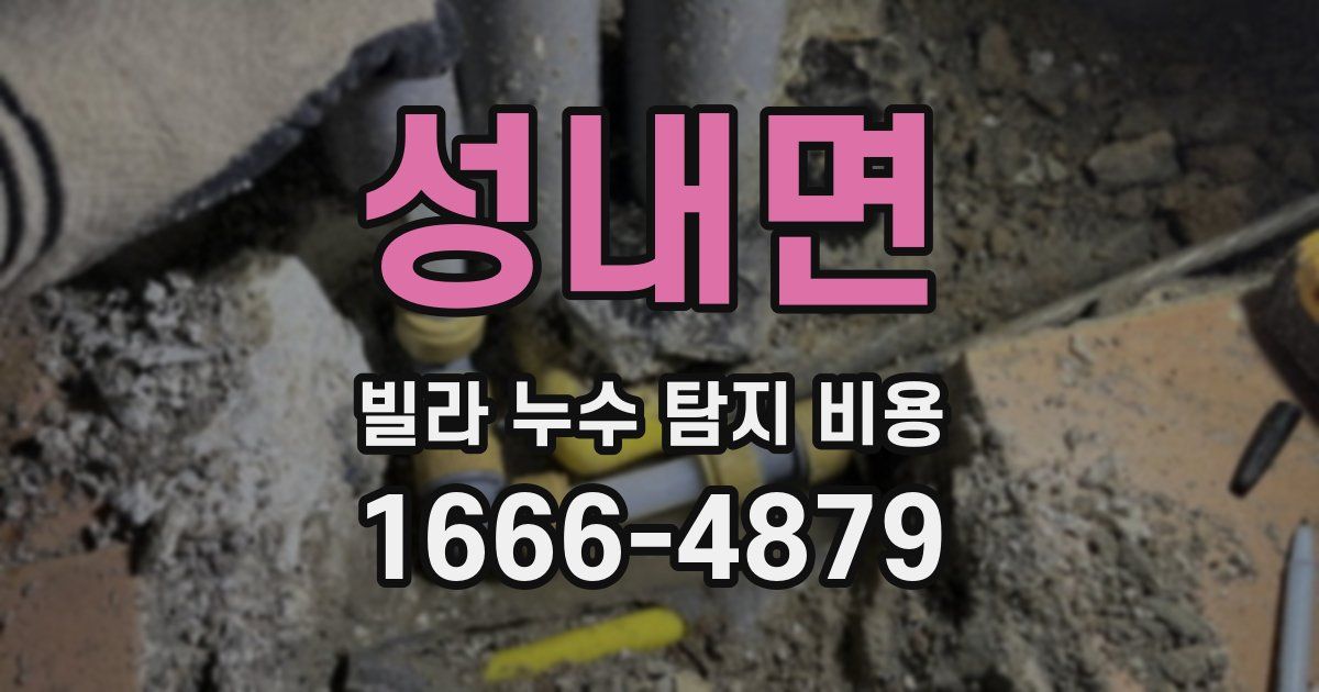 성내면 빌라 누수 탐지 비용