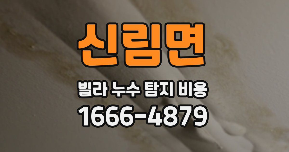 신림면 빌라 누수 탐지 비용