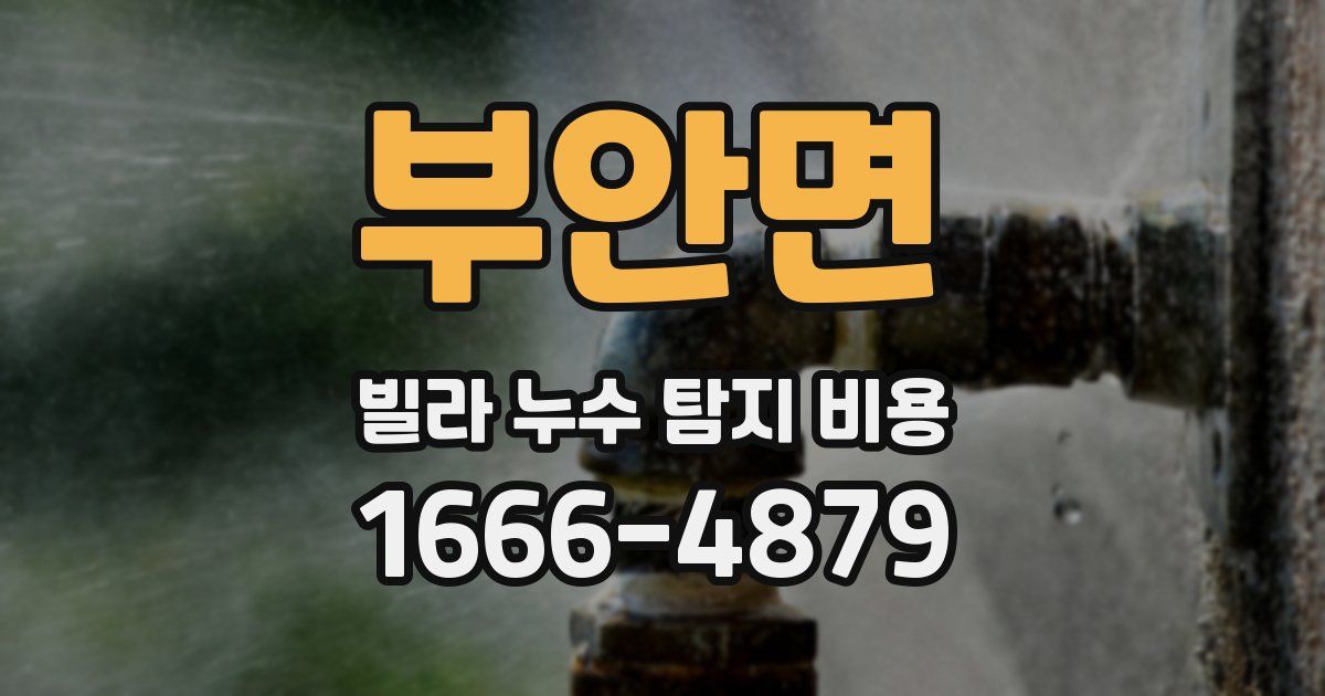 부안면 빌라 누수 탐지 비용