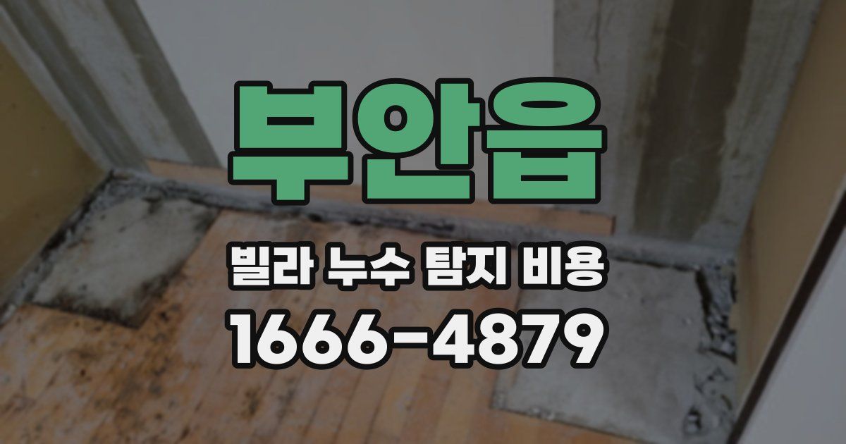부안읍 빌라 누수 탐지 비용
