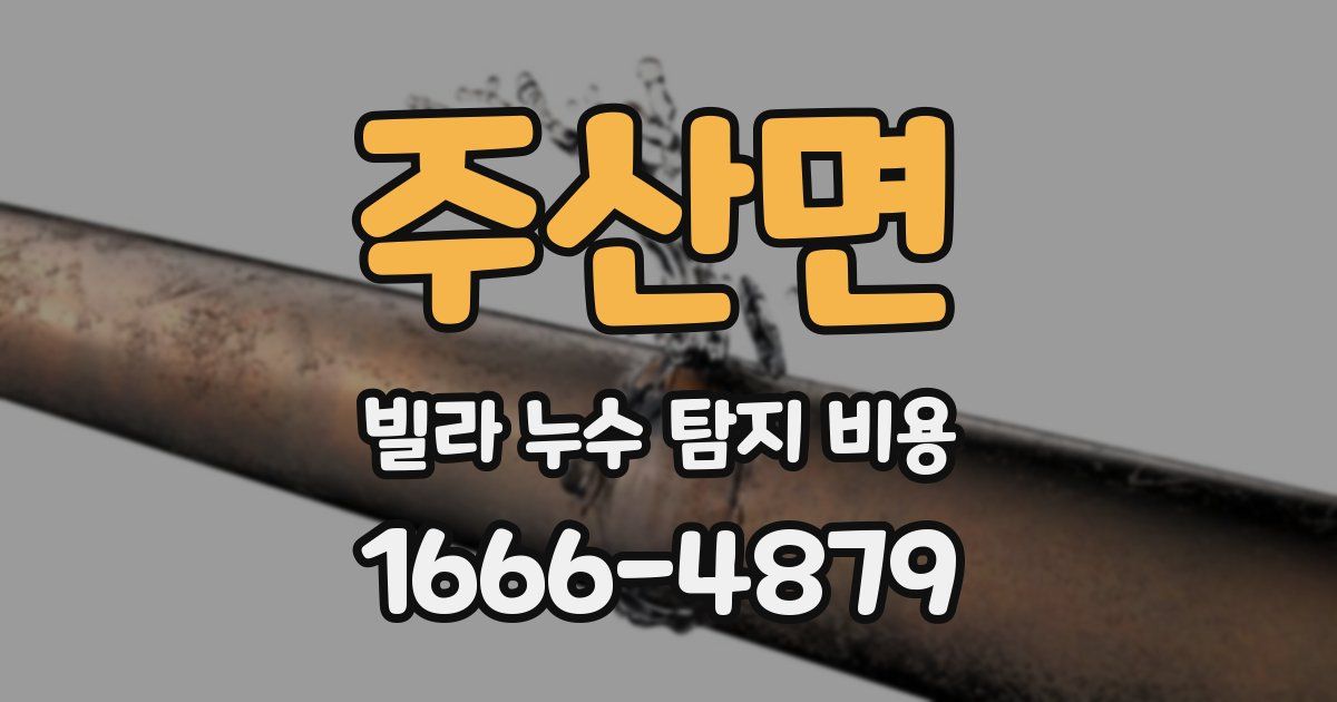 주산면 빌라 누수 탐지 비용