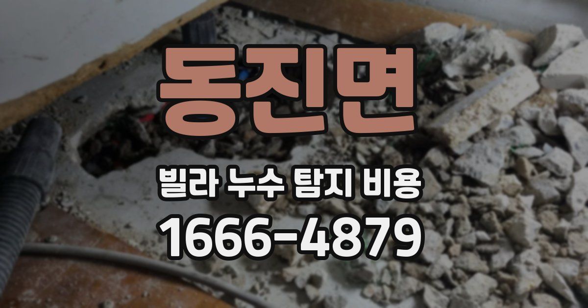 동진면 빌라 누수 탐지 비용
