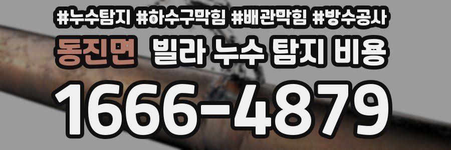 동진면 빌라 누수 탐지 비용