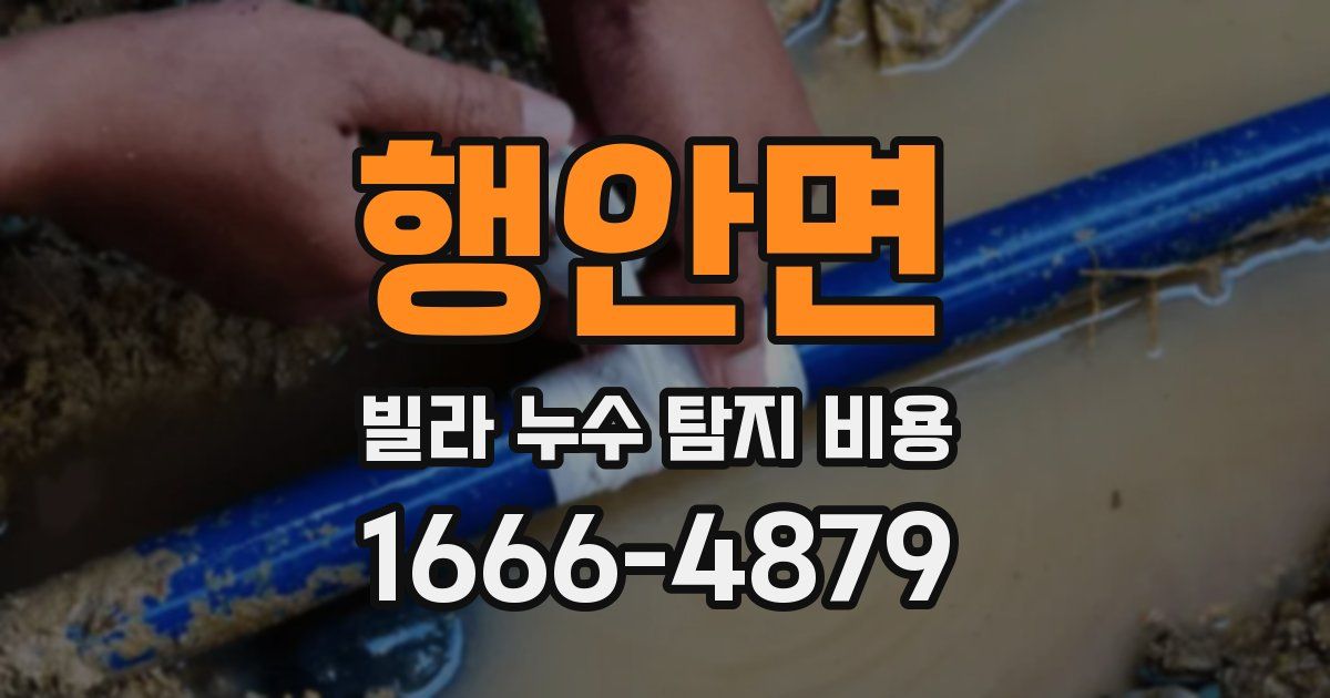 행안면 빌라 누수 탐지 비용