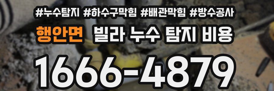 행안면 빌라 누수 탐지 비용
