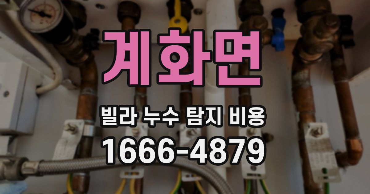 계화면 빌라 누수 탐지 비용
