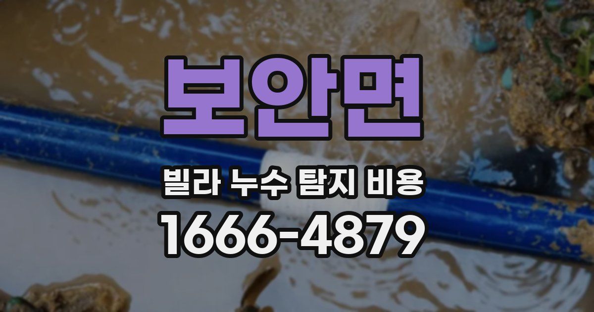 보안면 빌라 누수 탐지 비용