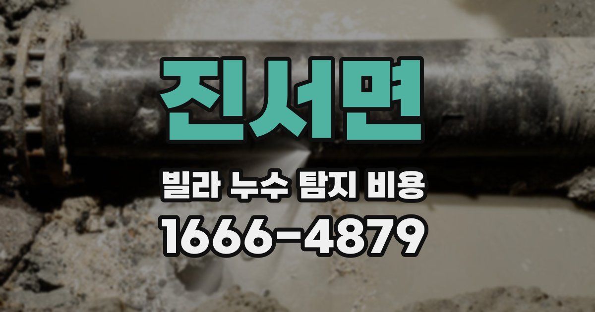 진서면 빌라 누수 탐지 비용