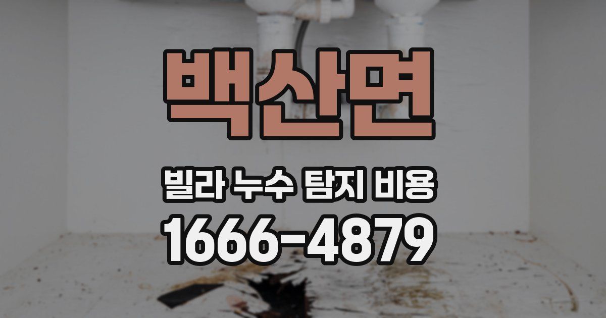 백산면 빌라 누수 탐지 비용
