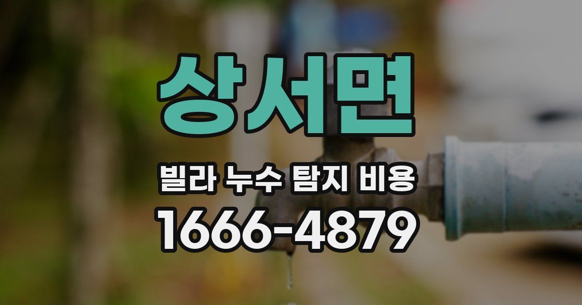 상서면 빌라 누수 탐지 비용