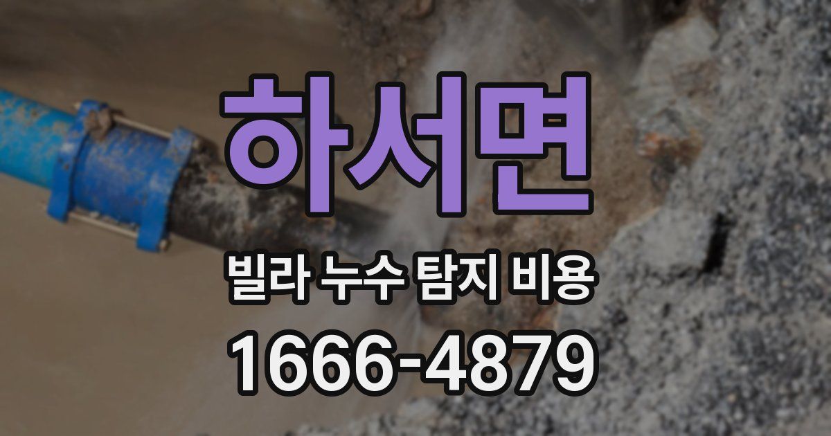 하서면 빌라 누수 탐지 비용