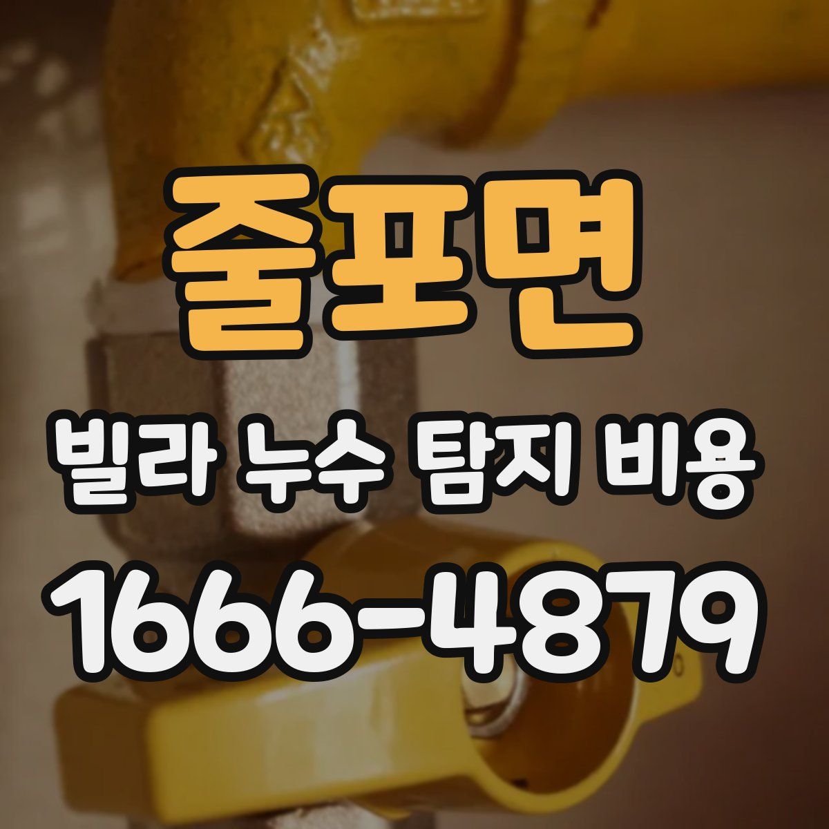 줄포면 빌라 누수 탐지 비용
