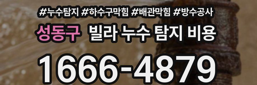 성동구 빌라 누수 탐지 비용