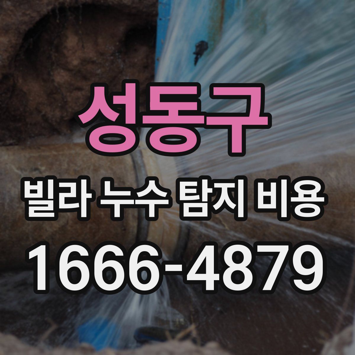 성동구 빌라 누수 탐지 비용