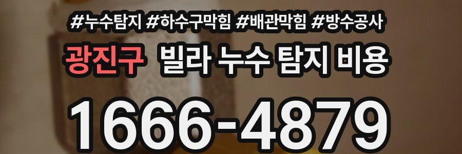광진구 빌라 누수 탐지 비용
