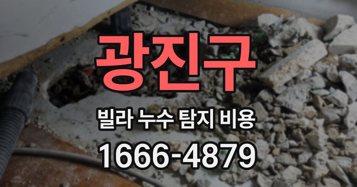 광진구 빌라 누수 탐지 비용