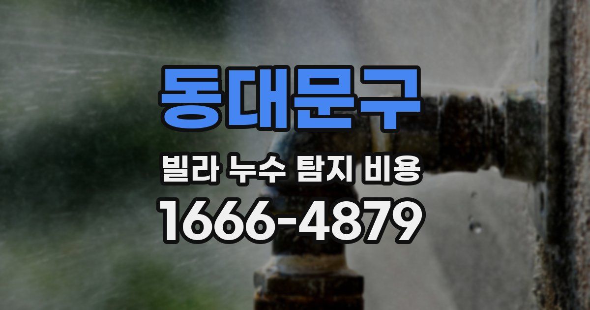 동대문구 빌라 누수 탐지 비용