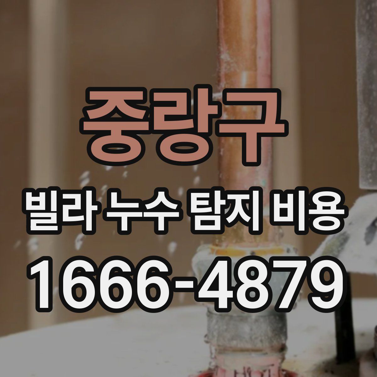 중랑구 빌라 누수 탐지 비용