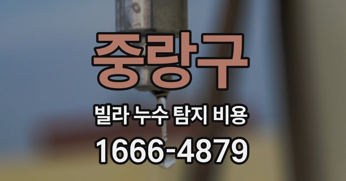 중랑구 빌라 누수 탐지 비용
