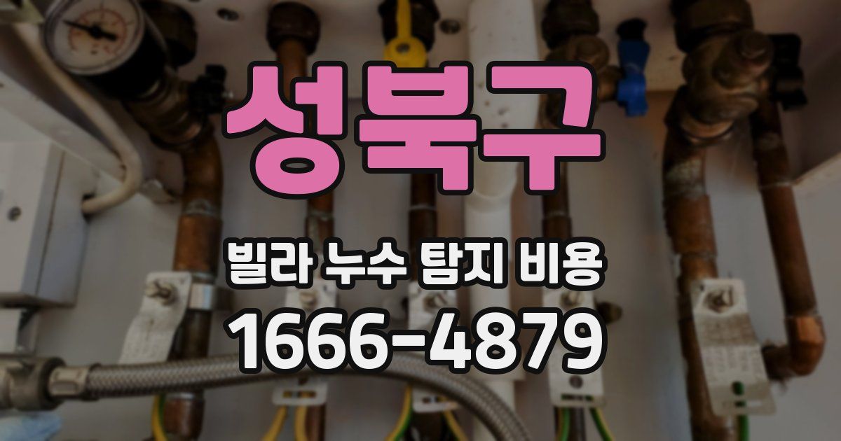 성북구 빌라 누수 탐지 비용