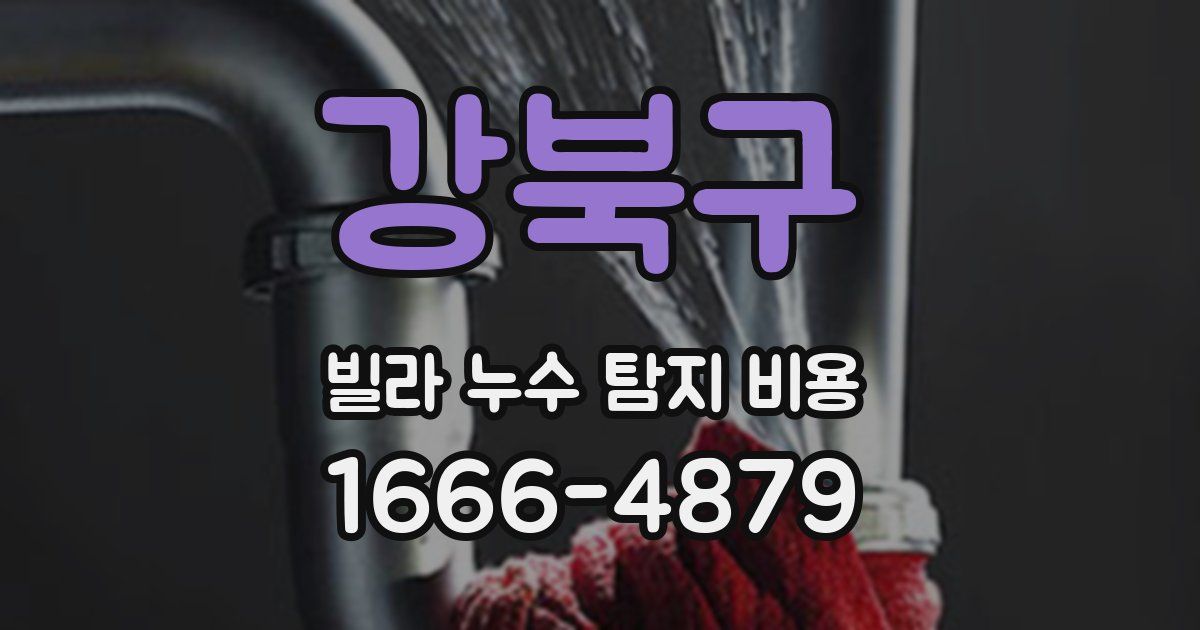 강북구 빌라 누수 탐지 비용