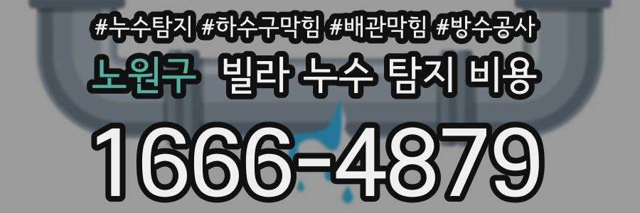노원구 빌라 누수 탐지 비용