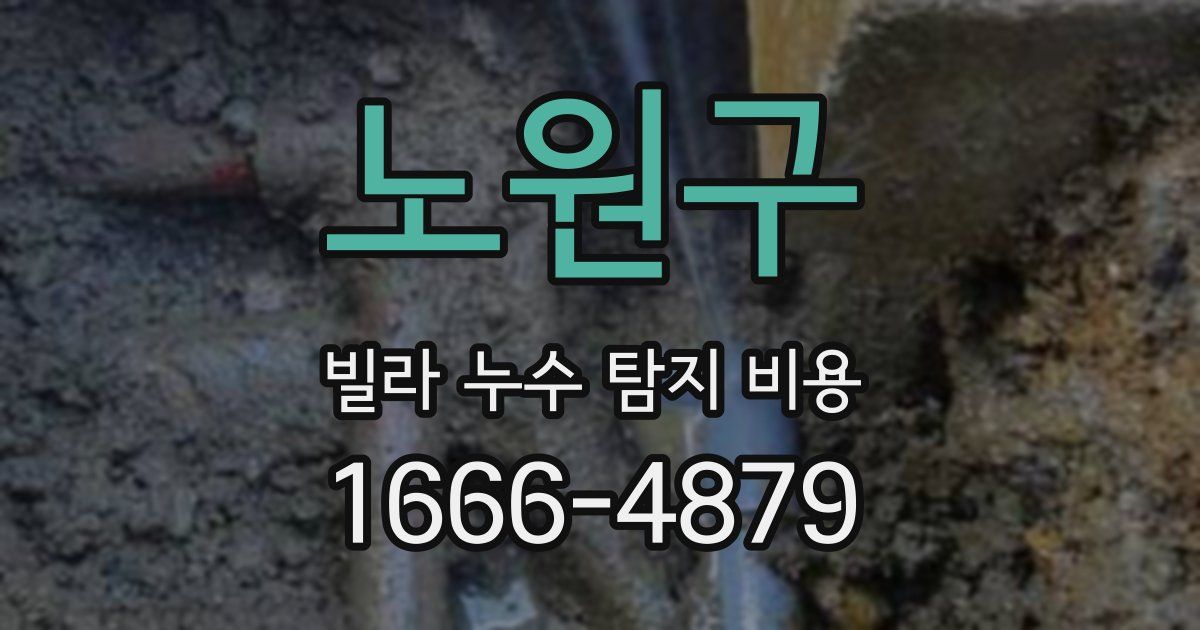 노원구 빌라 누수 탐지 비용
