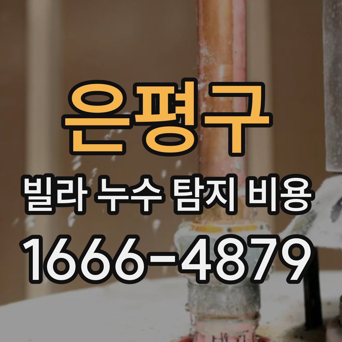 은평구 빌라 누수 탐지 비용