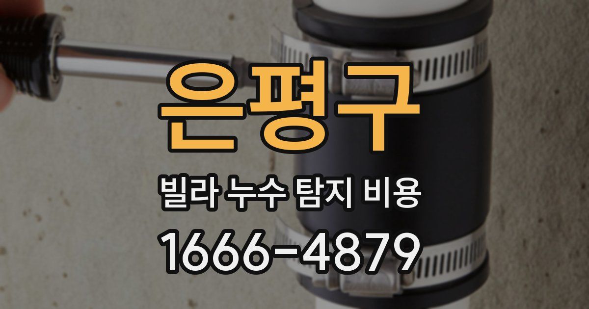 은평구 빌라 누수 탐지 비용