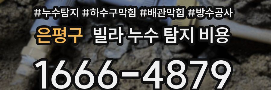 은평구 빌라 누수 탐지 비용