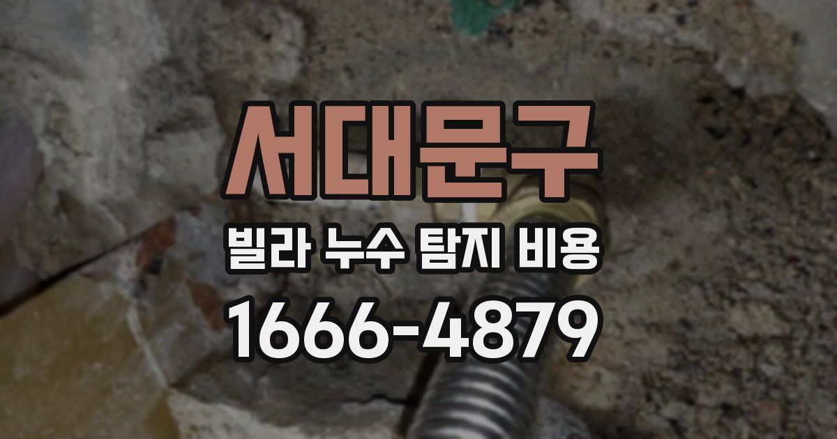 서대문구 빌라 누수 탐지 비용