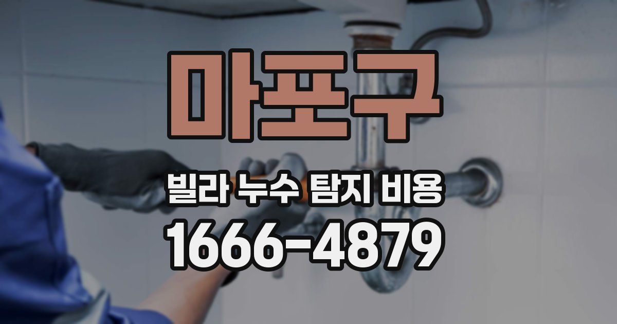 마포구 빌라 누수 탐지 비용