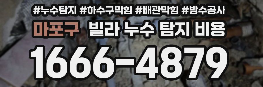 마포구 빌라 누수 탐지 비용