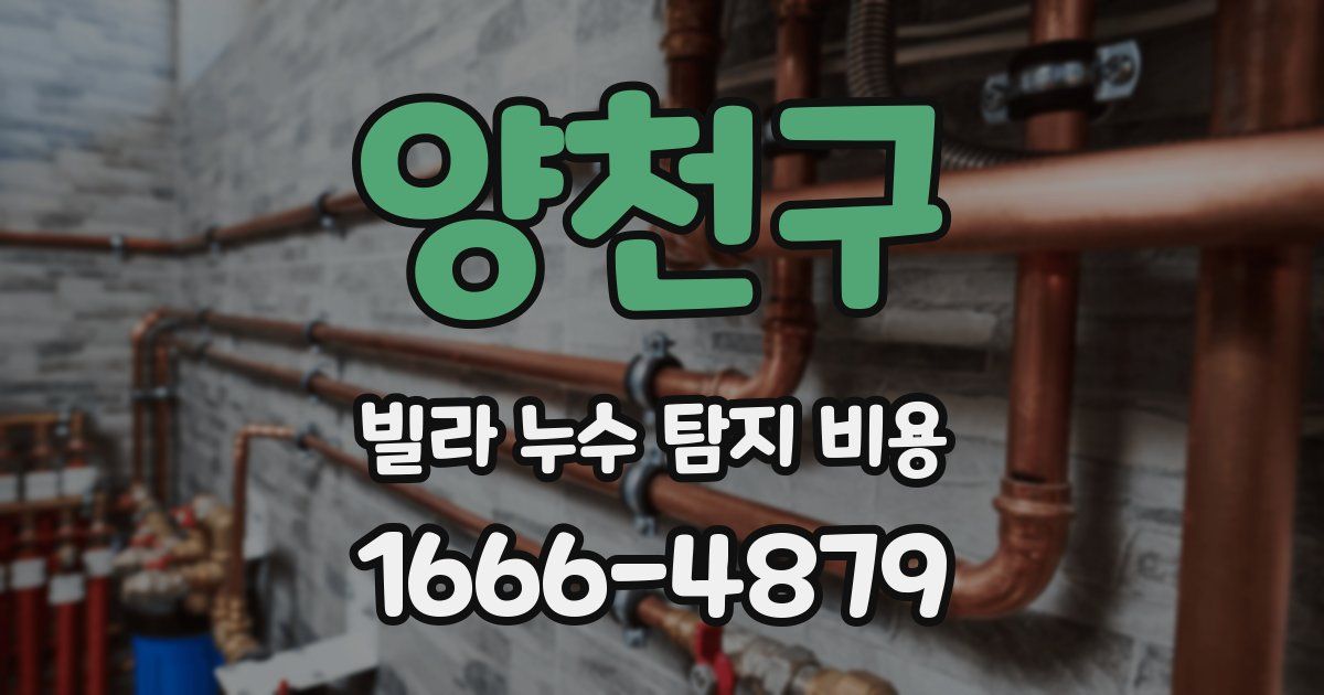 양천구 빌라 누수 탐지 비용