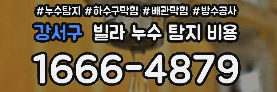 강서구 빌라 누수 탐지 비용