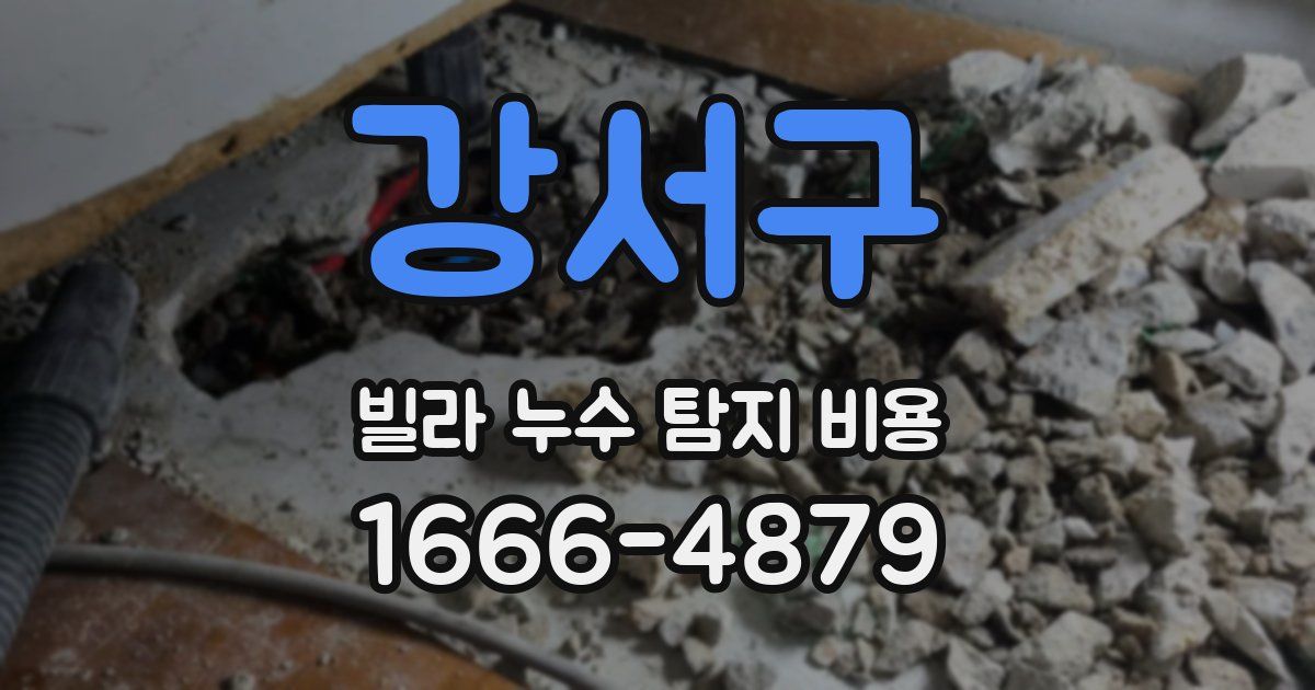 강서구 빌라 누수 탐지 비용