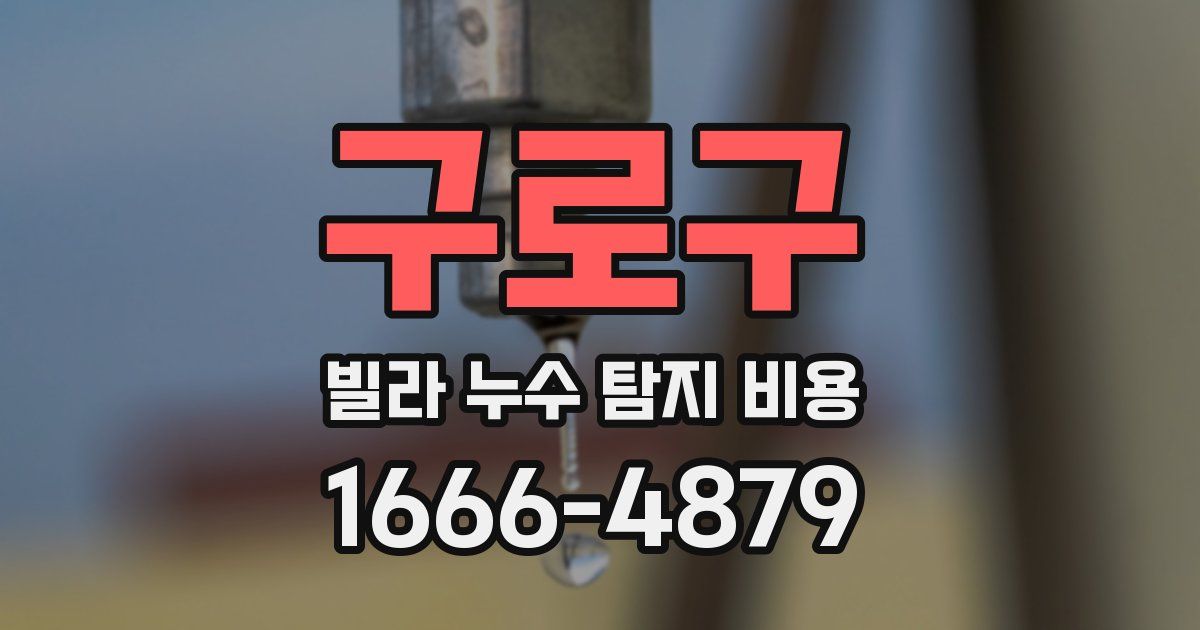 구로구 빌라 누수 탐지 비용