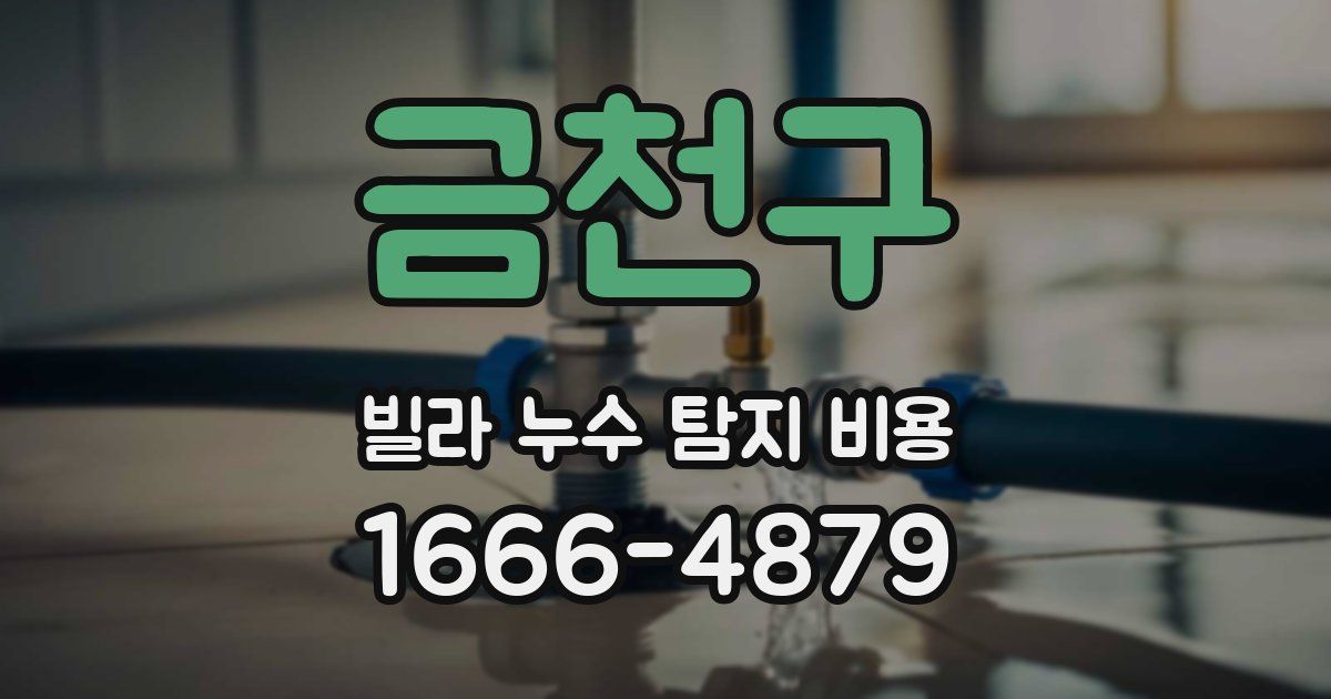 금천구 빌라 누수 탐지 비용