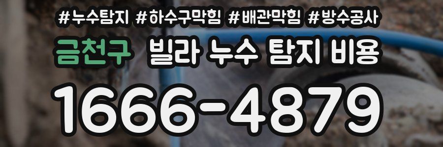 금천구 빌라 누수 탐지 비용