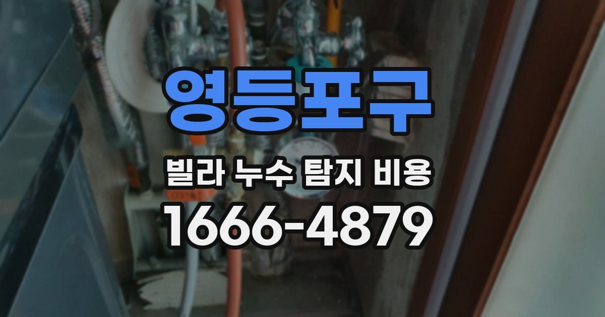 영등포구 빌라 누수 탐지 비용