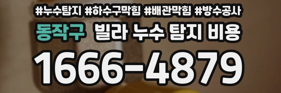 동작구 빌라 누수 탐지 비용