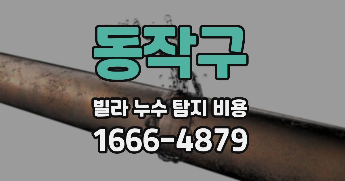 동작구 빌라 누수 탐지 비용
