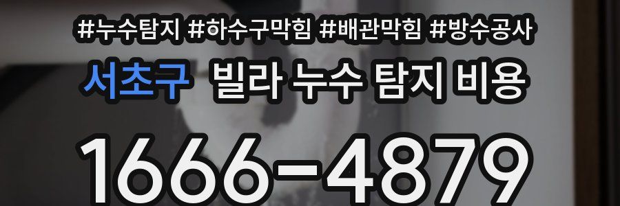 서초구 빌라 누수 탐지 비용