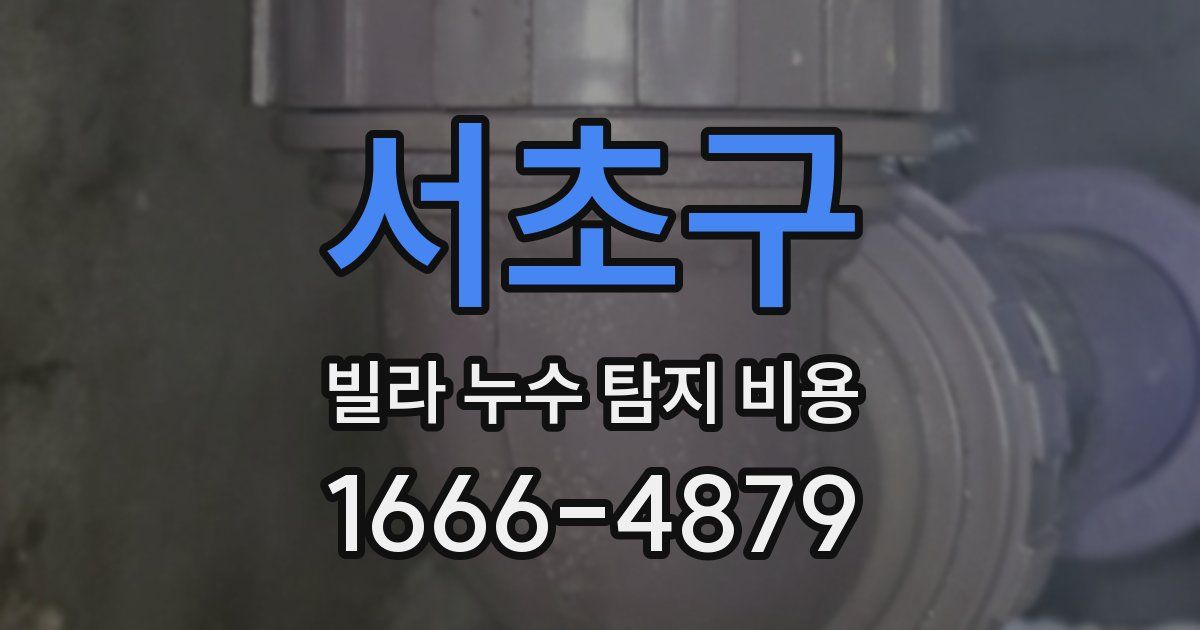 서초구 빌라 누수 탐지 비용