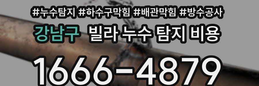 강남구 빌라 누수 탐지 비용