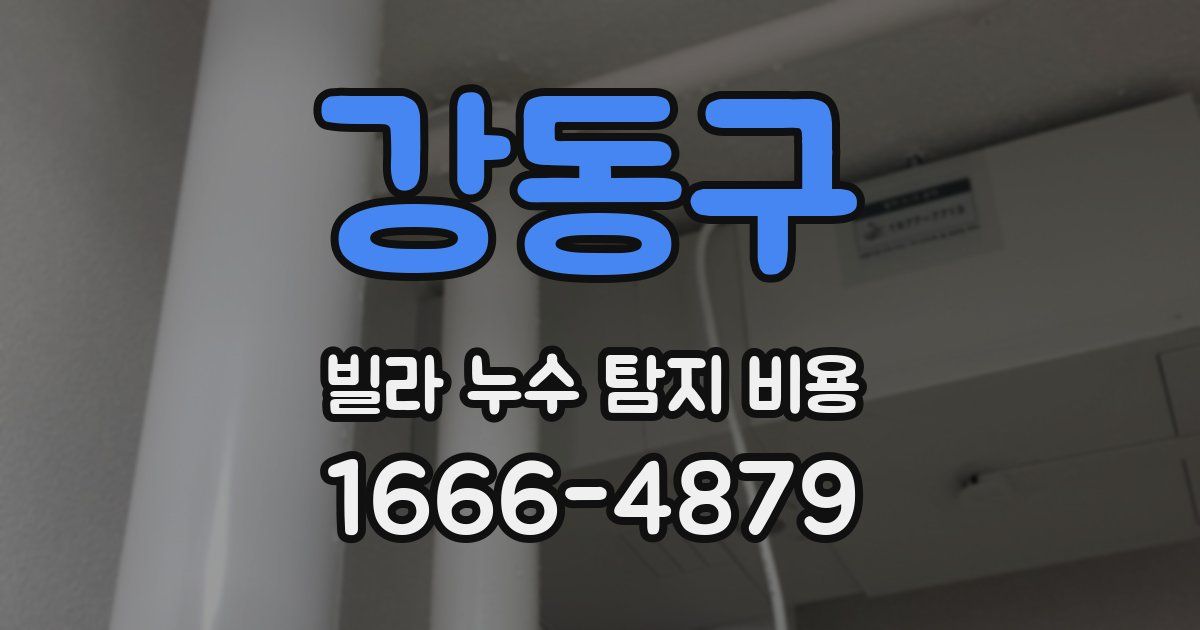 강동구 빌라 누수 탐지 비용